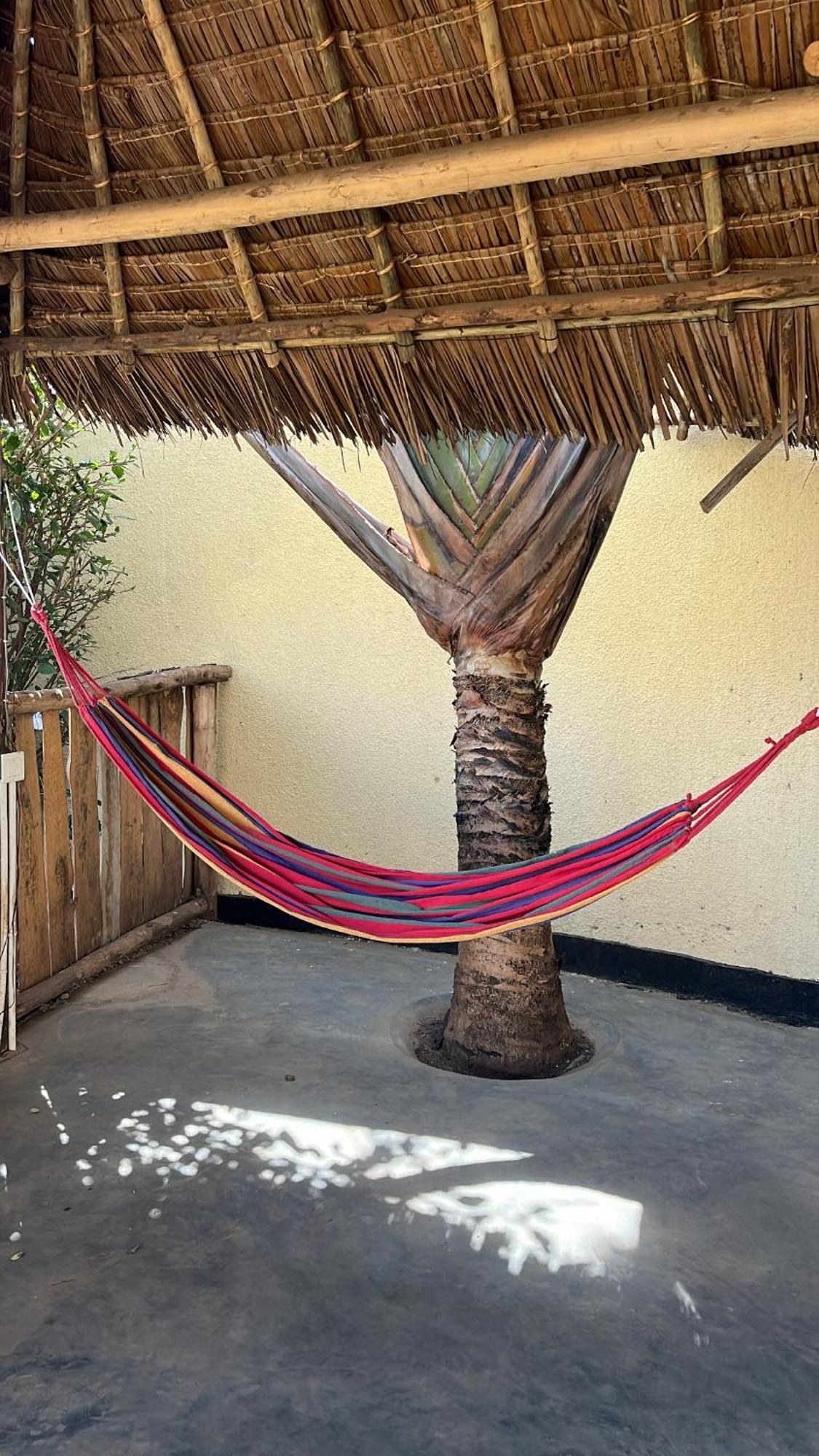Stasumo House Arusha B&B 외부 사진