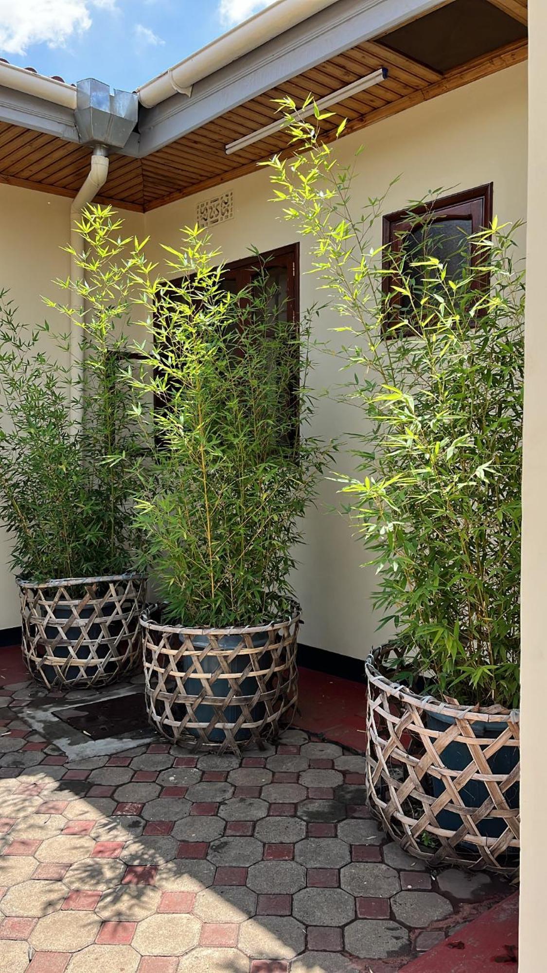 Stasumo House Arusha B&B 외부 사진